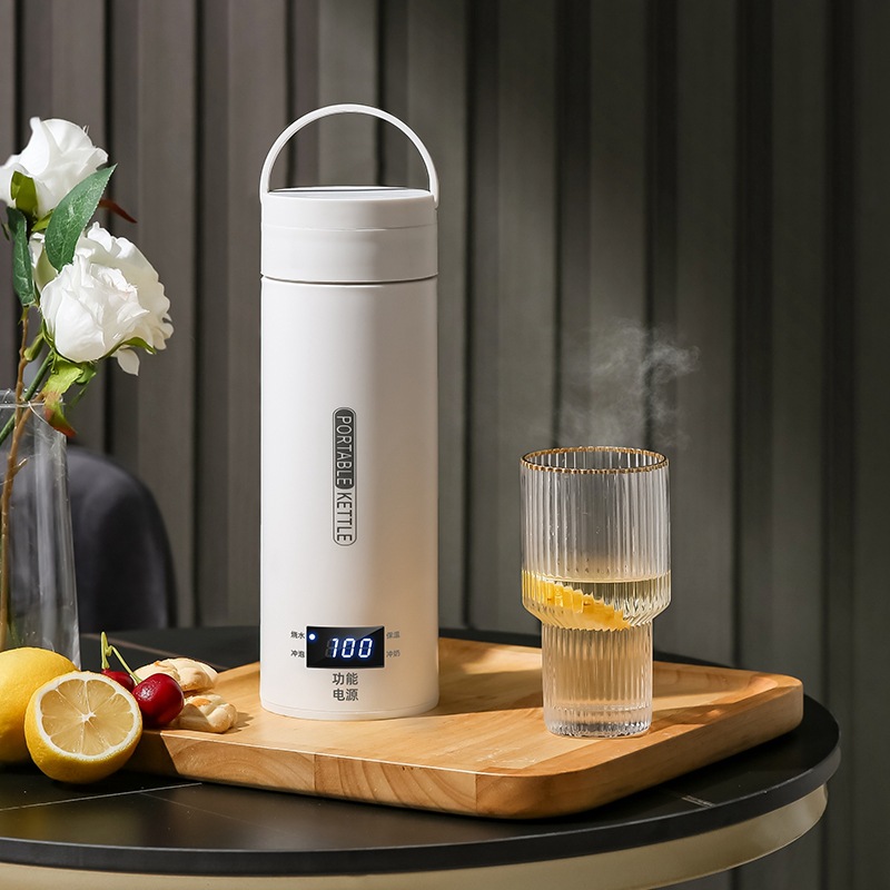 Travel Electric T Kettle Fast  - Baby Food Thermos 评论和价格