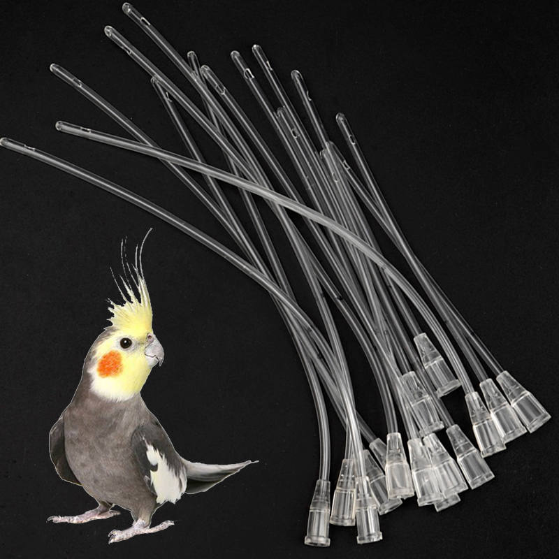 Bird Parrot Feeder Tube, Baby  - Feeding Baby Food 评论和价格