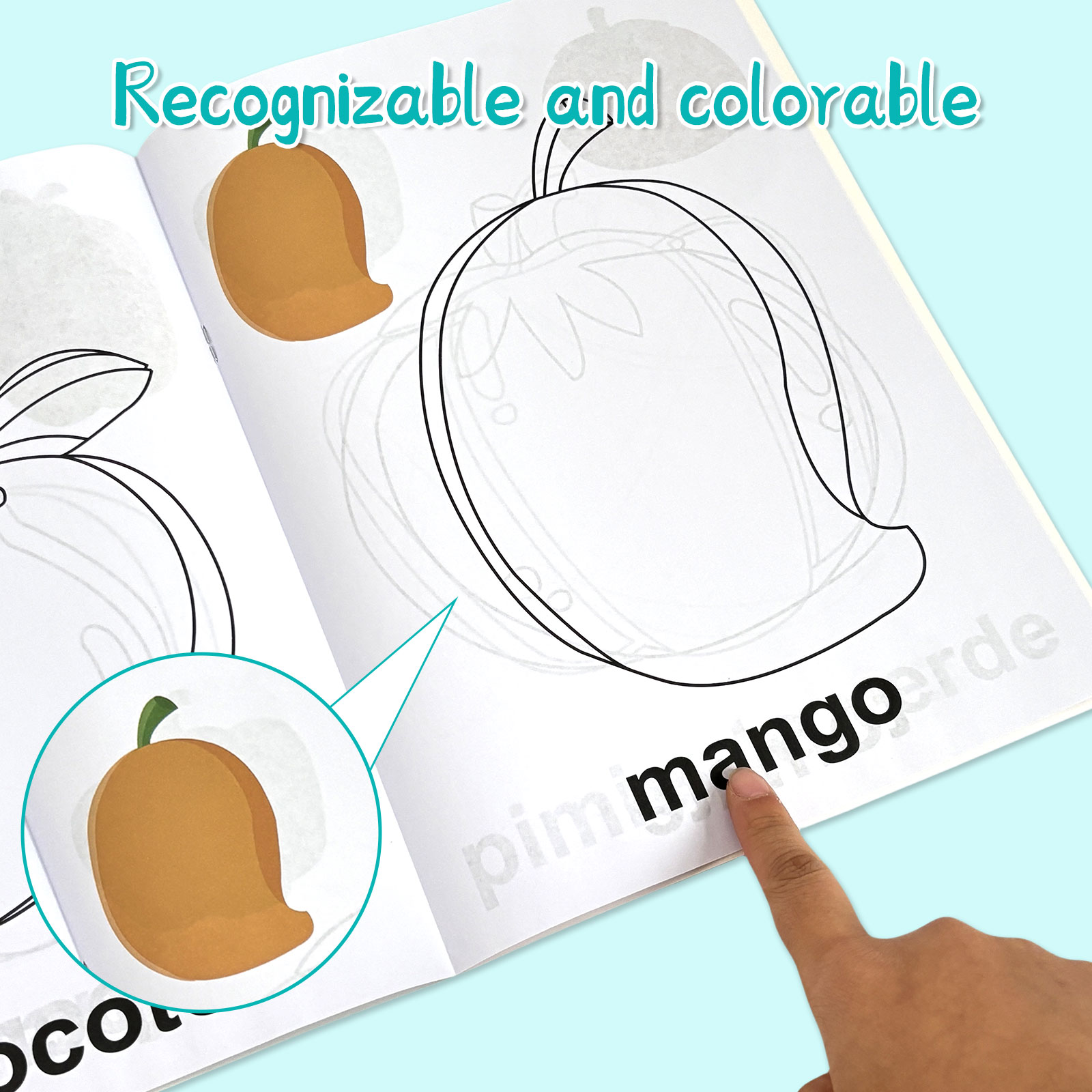 4 Pack Spanish Vocabulary Colo - Baby Food Year Old 评论和价格