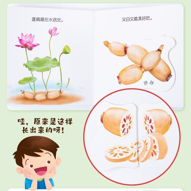 Infant Food Education Flipbook - Baby Food Year Old 评论和价格
