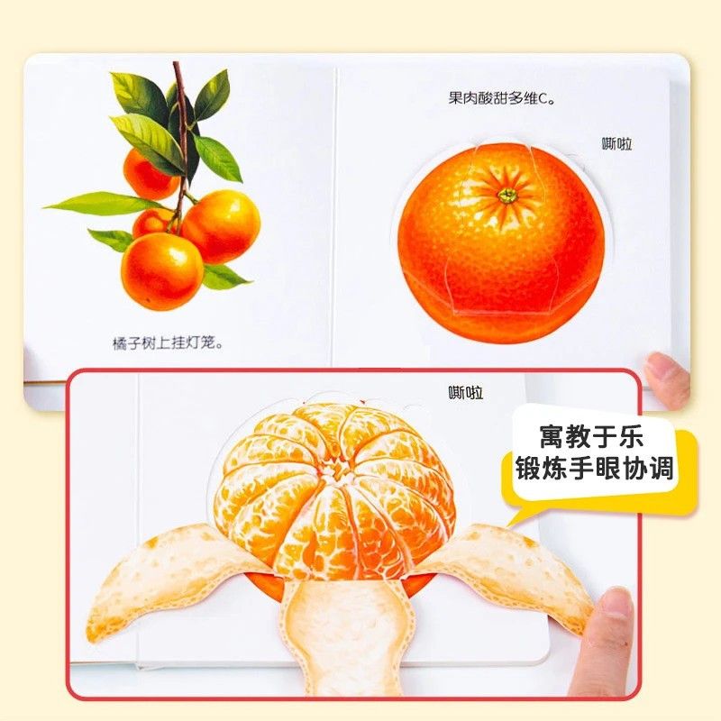 Infant Food Education Flipbook - Baby Food Year Old 评论和价格